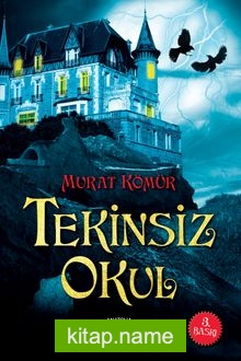 Tekinsiz Okul