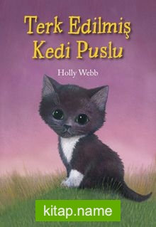 Terk Edilmiş Kedi Puslu