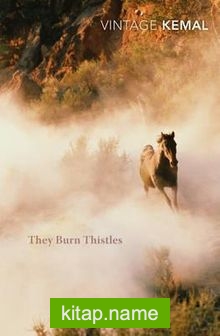 They Burn Thistles