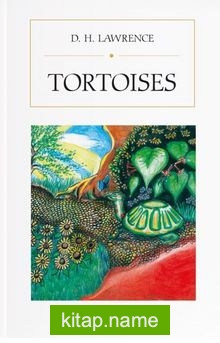 Tortoises