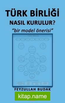 Türk Birliği Nasıl Kurulur? Bir Model Önerisi