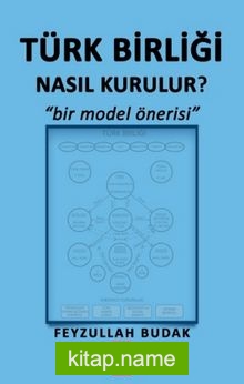 Türk Birliği Nasıl Kurulur?  Bir Model Önerisi