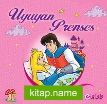 Uyuyan Prenses (6 parça Yap-Boz+Hikaye)