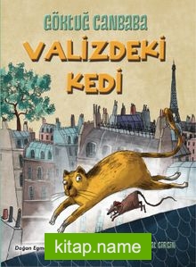 Valizdeki Kedi