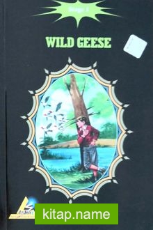 Wild Geese / Stage 1