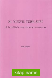 XI. Yüzyıl Türk Şiiri