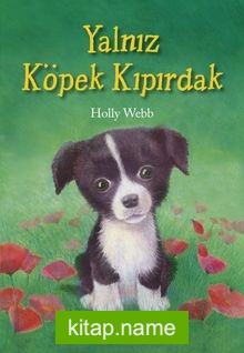 Yalnız Köpek Kıpırdak