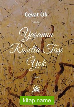 Yaşamın Rosetta Taşı Yok