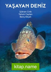 Yaşayan Deniz