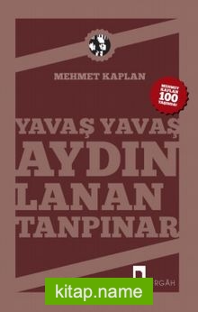 Yavaş Yavaş Aydınlanan Tanpınar