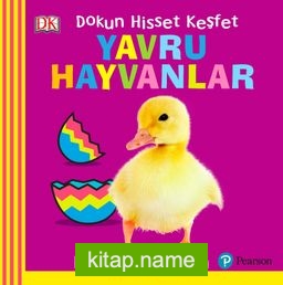 Yavru Hayvanlar / Bebek Dokun Hisset Keşfet