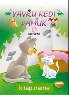 Yavru Kedi Pamuk