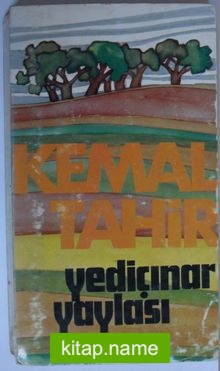 Yediçınar Yaylası (Kod:4-F-38)