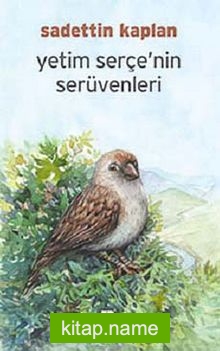 Yetim Serçe’nin Serüvenleri