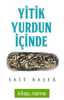 Yitik Yurdun İçinde