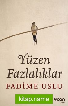 Yüzen Fazlalıklar