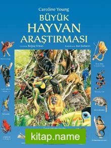 Büyük Hayvan Araştırması