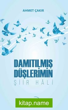 Damıtılmış Düşlerimin Şiir Hali