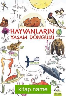 Hayvanların Yaşam Döngüsü