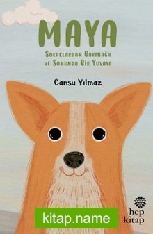 Maya Sokaklardan Barınağa ve Sonunda Bir Yuvaya