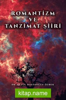 Romantizm ve Tanzimat Şiiri