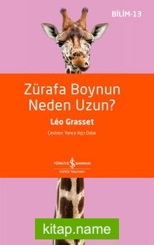 Zürafa Boynun Neden Uzun?